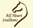 All Heart Morgans Stallions are beautiful with incredible charisma.